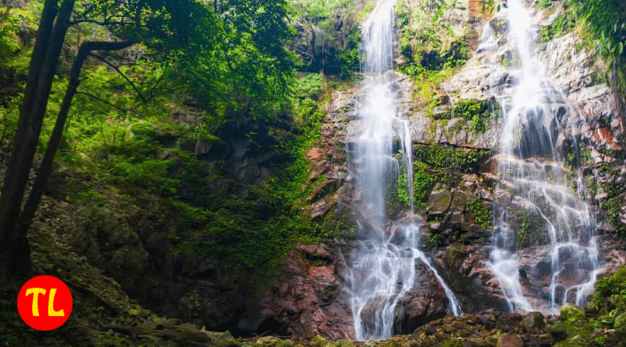 cho thuê xe du lịch