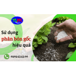 Một số chú ý quan trọng để sử dụng phân bón gốc hiệu quả