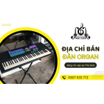 Nhạc Cụ Mai Đan - Địa chỉ bán đàn organ Thủ Đức đáng tin cậy nhất
