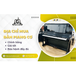 Mua đàn piano cơ TPHCM chính hãng, giá tốt - Đến ngay Nhạc Cụ Mai Đan