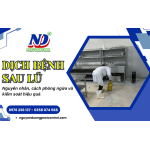 Dịch bệnh sau lũ lụt – Tại sao xuất hiện và giải pháp phòng ngừa, kiểm soát hiệu quả