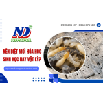 Diệt mối bằng phương pháp hóa học, sinh học, vật lý - Đâu là giải pháp nên chọn