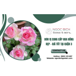 Đơn vị cung cấp hoa hồng đẹp, giá tốt tại quận 3