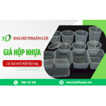 Giá hộp nhựa các loại mới nhất hiện nay - baobithuanloi.com