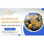 Dịch vụ gửi hàng đi Mỹ Sao Mai Express chuyên nghiệp, uy tín