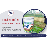 Khám phá các dòng phân bón rau màu DABA đột phá về công nghệ nuôi trồng