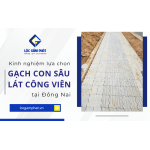 Lộc Gấm Phát chia sẻ kinh nghiệm lựa chọn gạch con sâu lát công viên Đồng Nai