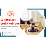 Luật sư ly hôn giành quyền nuôi con trên toàn quốc chuyên nghiệp, uy tín