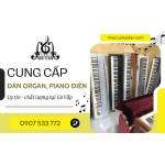 Mai Đan Music – Đơn vị chuyên cung cấp đàn organ, piano điện Gò Vấp uy tín và chất lượng
