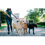 Những điều luật “kỳ quặc” tại một số quốc gia trên thế giới