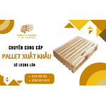 Chuyên cung cấp pallet xuất khẩu số lượng lớn