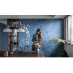 Thiết kế căn hộ phong cách Retro với những điểm nhấn từ cây xanh