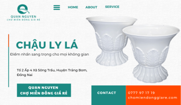 Chậu ly lá Quan Nguyen - Điểm nhấn sang trọng cho mọi không gian