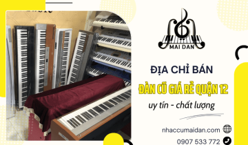 Địa chỉ bán đàn cũ giá rẻ quận 12 uy tín chất lượng