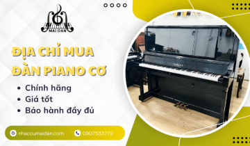 Mua đàn piano cơ TPHCM chính hãng, giá tốt - Đến ngay Nhạc Cụ Mai Đan