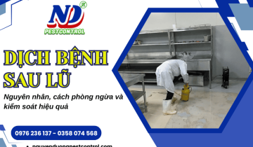 Dịch bệnh sau lũ lụt – Tại sao xuất hiện và giải pháp phòng ngừa, kiểm soát hiệu quả