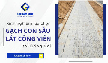 Lộc Gấm Phát chia sẻ kinh nghiệm lựa chọn gạch con sâu lát công viên Đồng Nai