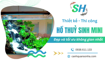 Thiết kế và thi công hồ thủy sinh mini đẹp, tối ưu không gian
