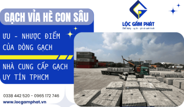 Tìm hiểu về ưu nhược điểm gạch con sâu lát vỉa hè TPHCM