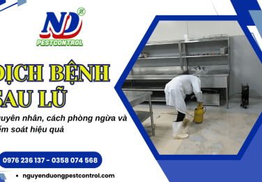 Dịch bệnh sau lũ lụt – Tại sao xuất hiện và giải pháp phòng ngừa, kiểm soát hiệu quả
