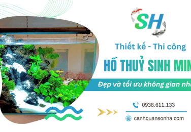 Thiết kế và thi công hồ thủy sinh mini đẹp, tối ưu không gian
