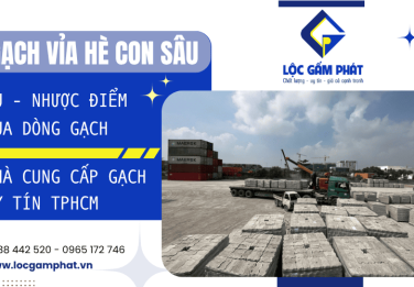 Tìm hiểu về ưu nhược điểm gạch con sâu lát vỉa hè TPHCM