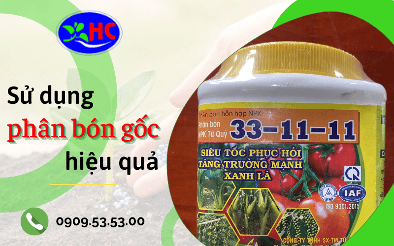 phân bón gốc