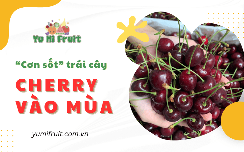 cherry