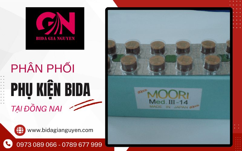 phụ kiện bida