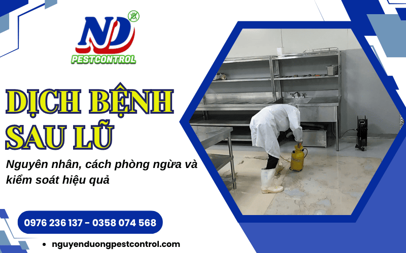 Dịch bệnh sau lũ lụt