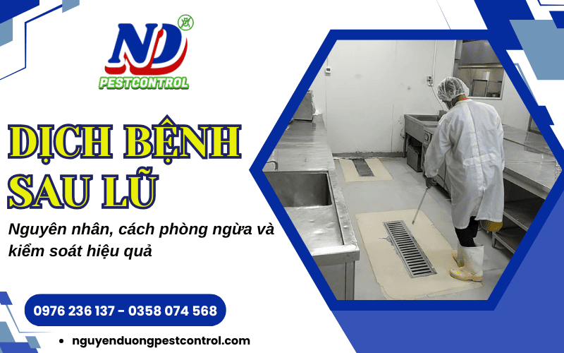 Dịch bệnh sau lũ lụt