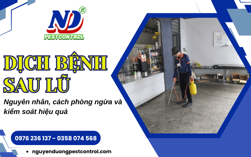 Dịch bệnh sau lũ lụt