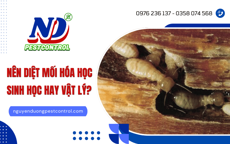 Diệt mối sinh học