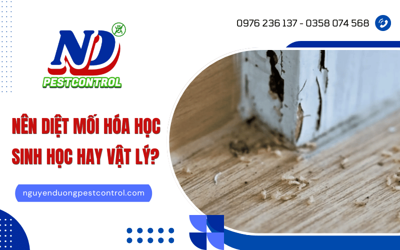 Diệt mối sinh học