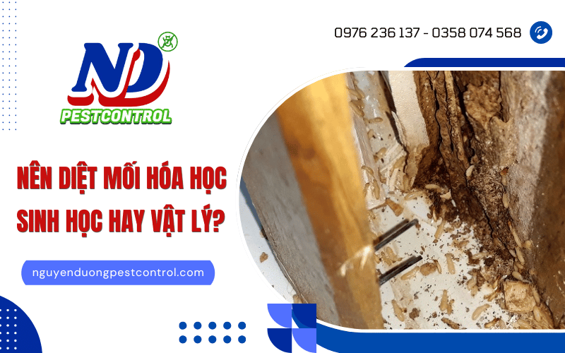 Diệt mối sinh học