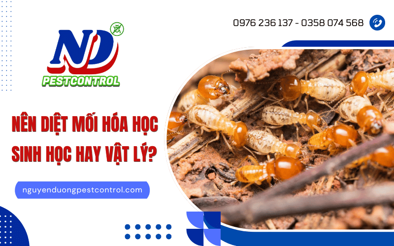 Diệt mối sinh học