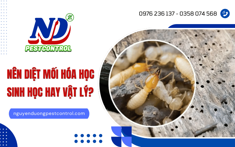 Diệt mối sinh học