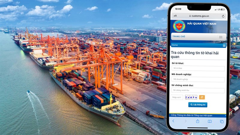 cách tra cứu tờ khai hải quan online