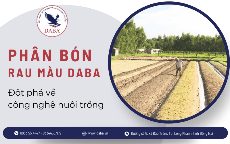 phân bón rau màu
