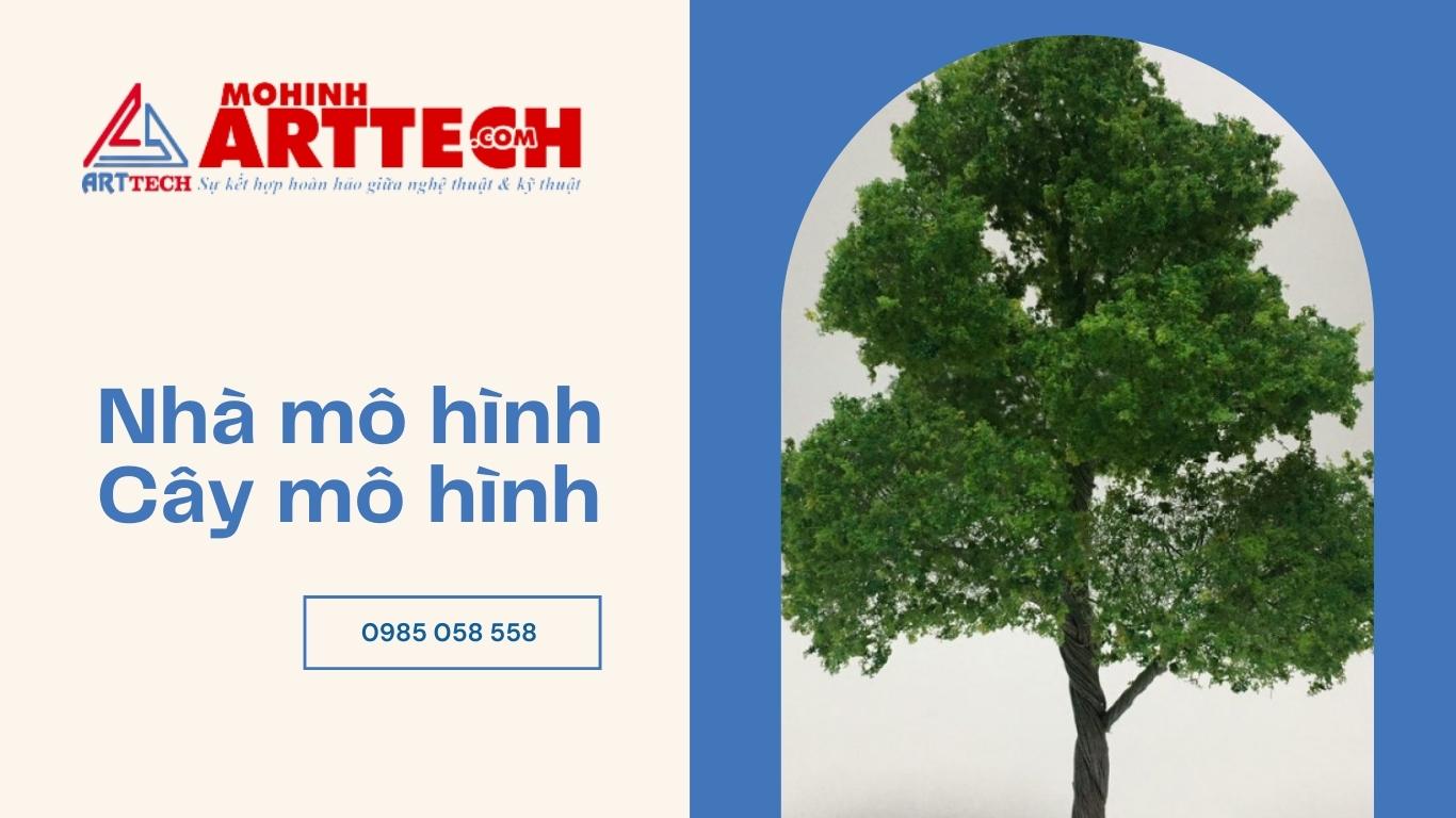 cây mô hình