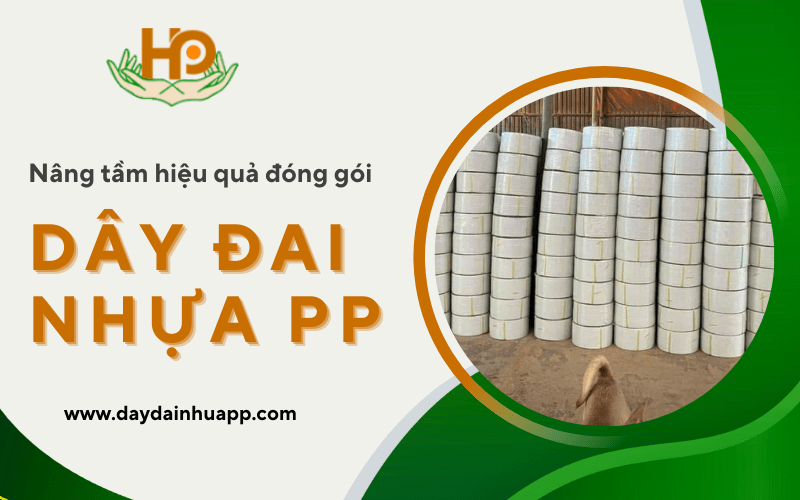 dây đai nhựa pp