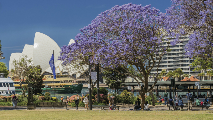 du lịch Australia